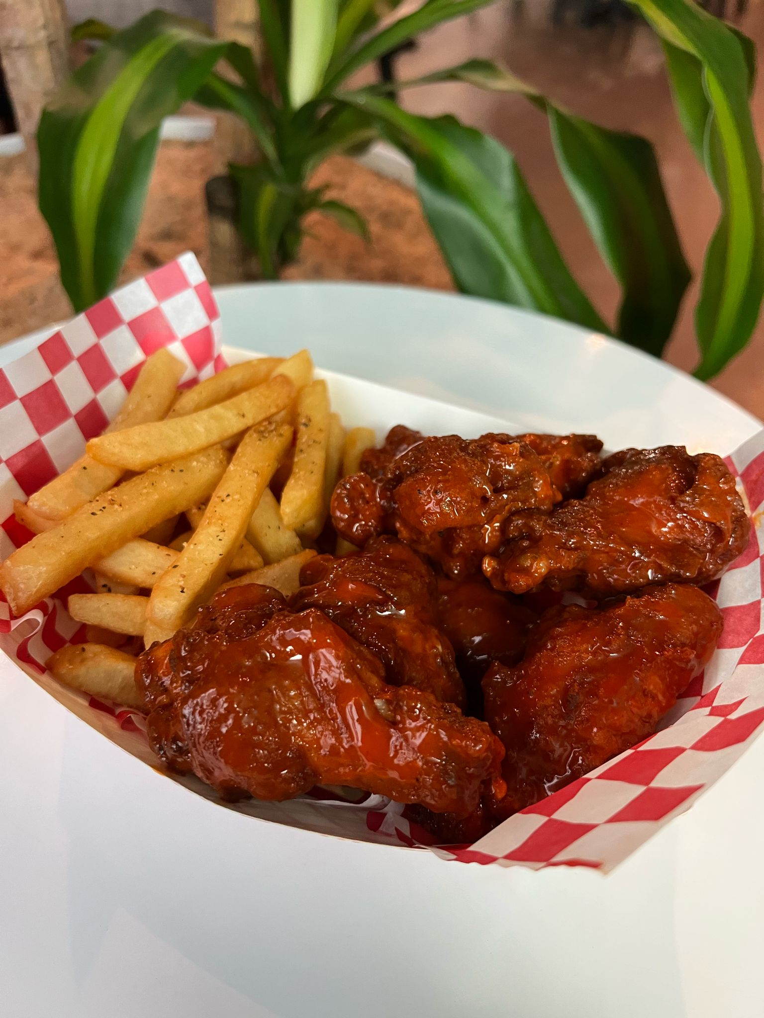 BBQ Chicken Wings with Fries